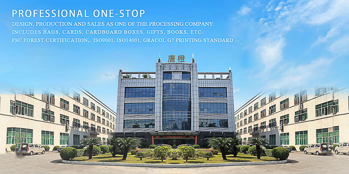 China Guangzhou Tangcheng Technology Co., Ltd. company profile