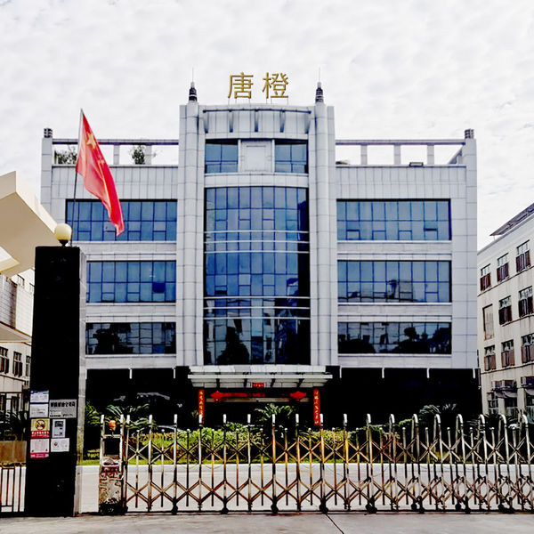 China Guangzhou Tangcheng Technology Co., Ltd. company profile